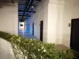 Run of House
