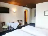 Двухместный номер Стандарт с видом на горы