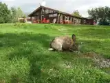 Коттедж