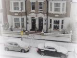 Run of House