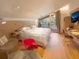 Двухместный номер Deluxe с красивым видом из окна