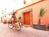 Run of House