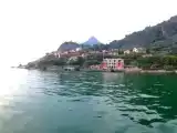 Run of House