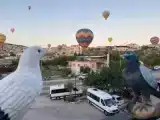 Двухместный номер Эконом