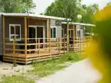 Run of House