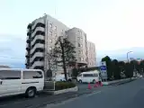 Номер Premier