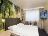 Номер Стандарт с красивым видом из окна