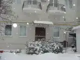 Run of House