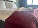 Двухместный люкс Deluxe