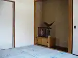 Run of House