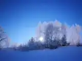 Номер Superior