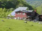 Номер Стандарт