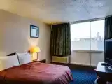 Одноместный номер Стандарт