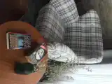 Двухместный номер Deluxe