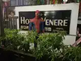 Run of House