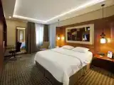 Одноместный номер Deluxe