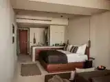 Двухместный номер Deluxe