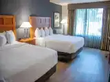 Номер Deluxe