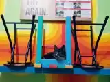 Кровать в общем номере