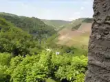 Номер Стандарт с видом на сад
