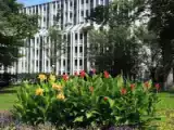 Двухместная студия Стандарт с балконом