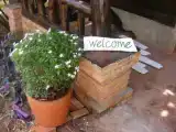 Семейная студия
