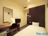 Одноместный номер Стандарт с видом на город