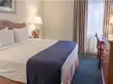 Номер Стандарт с видом на город