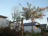 Номер Стандарт