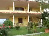 Run of House