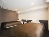 Двухместный номер Premier