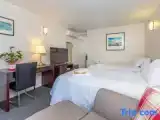 Студия Стандарт