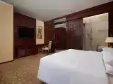 Двухместный номер Deluxe с видом на город
