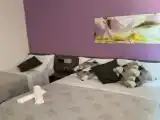 Трёхместный номер Комфорт с балконом и с частичным видом на море