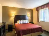 Номер Стандарт