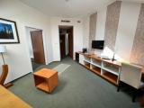 Двухместный люкс c 1 комнатой