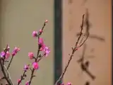 Четырёхместный номер Стандарт