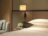 Двухместный номер Club Lounge Access Classic с видом на реку