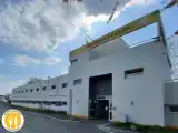 Run of House