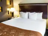 Двухместный люкс c 1 комнатой