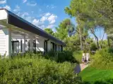 Полулюкс Ecolodge Deluxe
