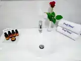 Семейный номер Стандарт с видом на море
