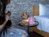 Двухместный номер Стандарт с балконом