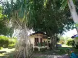 Двухместный номер Стандарт с видом на сад
