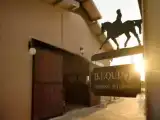 Люкс с видом на сад