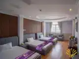 Трёхместный номер Deluxe с видом на город