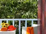 Двухместный номер Стандарт с видом на сад