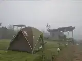 Run of House