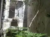 Двухместный номер Комфорт