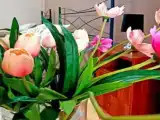 Трёхместный номер Комфорт с балконом
